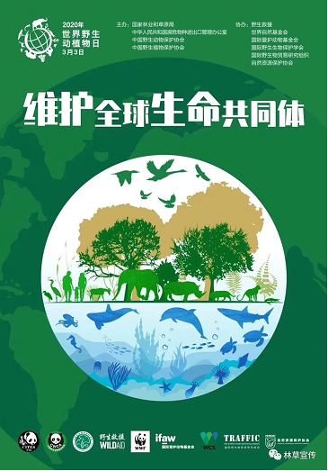 博亿国际·(中国游)有限公司官网