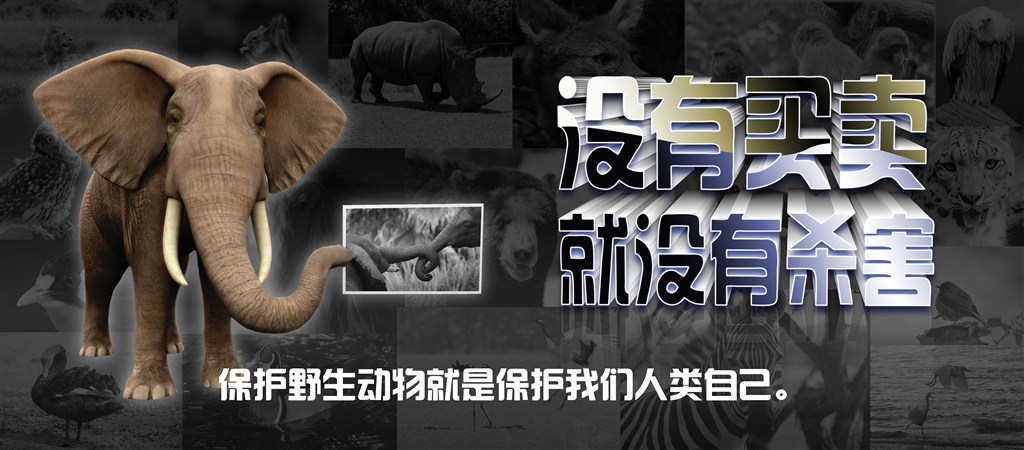 博亿国际·(中国游)有限公司官网