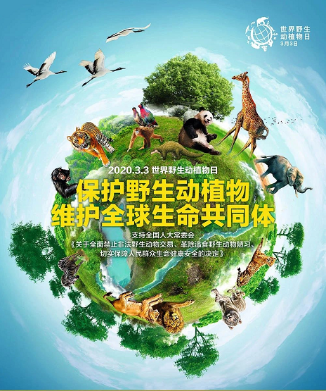 博亿国际·(中国游)有限公司官网